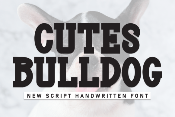 Cutes Bulldog Font for Creative Projects