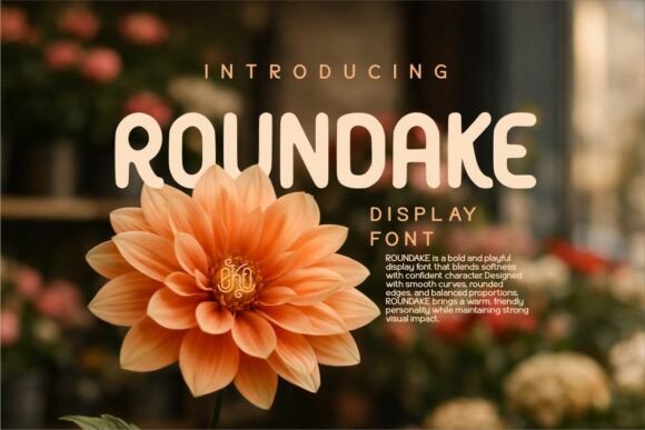 Roundake Font Review