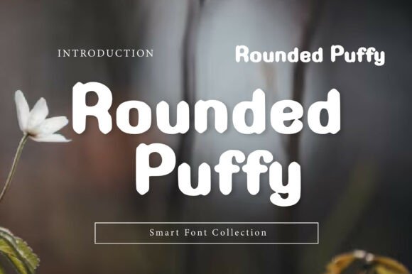 Rounded Puffy Font for Bold Branding